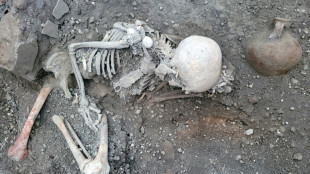 Two new skeletons found at Pompeii excavations