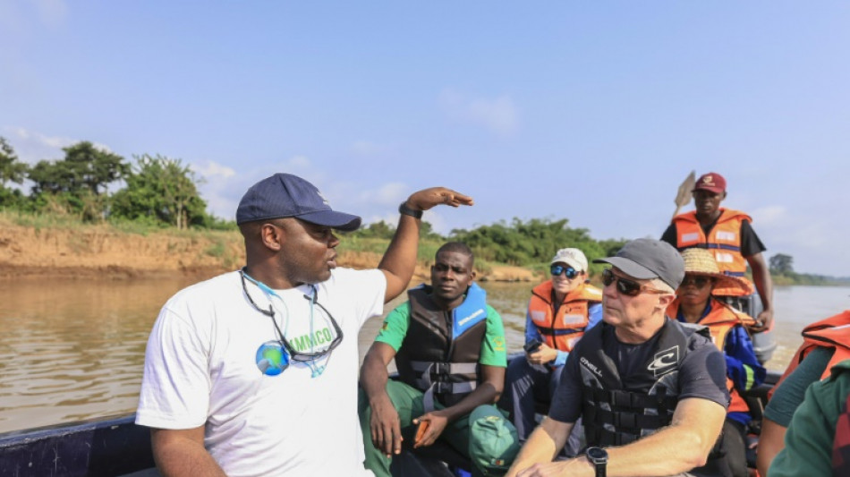 Un biólogo camerunés lucha para salvar a los manatíes africanos