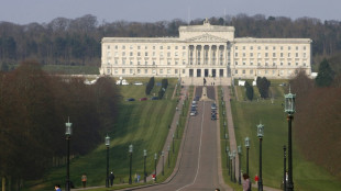 N. Ireland set for fresh elections over post-Brexit impasse