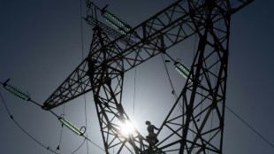 France faces high risk of power grid strain in January: operator