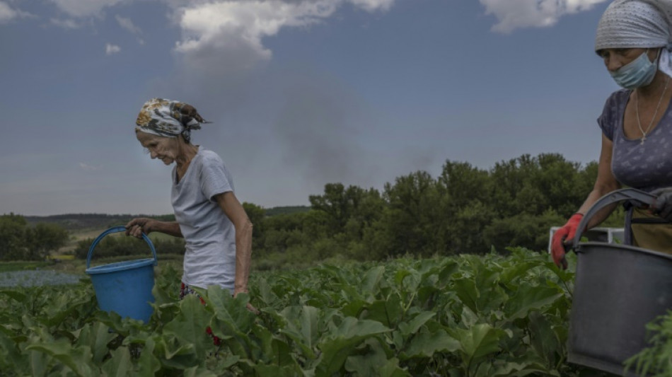 L'agriculture sous les tirs dans l'est de l'Ukraine