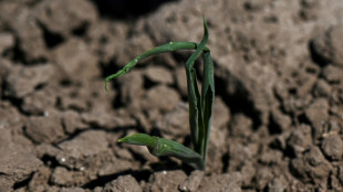 Argentina issues health warnings amid record heat