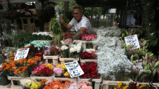 Florists prepare for soaring sales ahead of queen's funeral