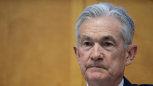 US Fed holds rate steady and signals three cuts ahead