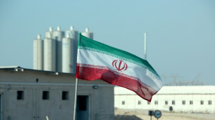 Iran's removal of monitoring cameras may scupper nuclear talks: UN