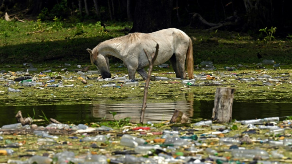 Coming years 'critical' to slash plastic pollution: UN