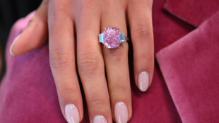 Rare pink diamond worth $35 mn set for auction in New York