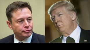 Readmitir a Trump en Twitter: el "Sí" lidera la encuesta de Musk