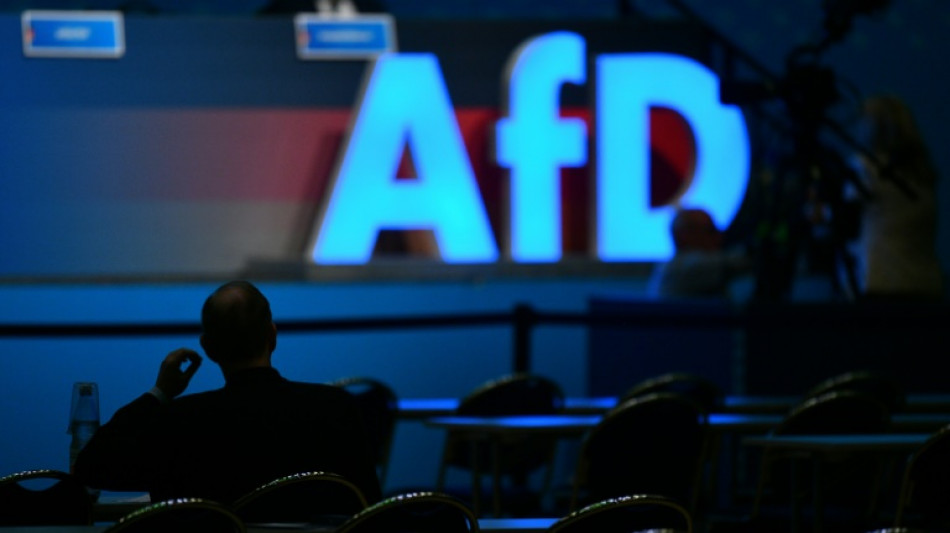 SPD und Grüne sehen Gruppenantrag zu AfD-Verbotsverfahren kritisch