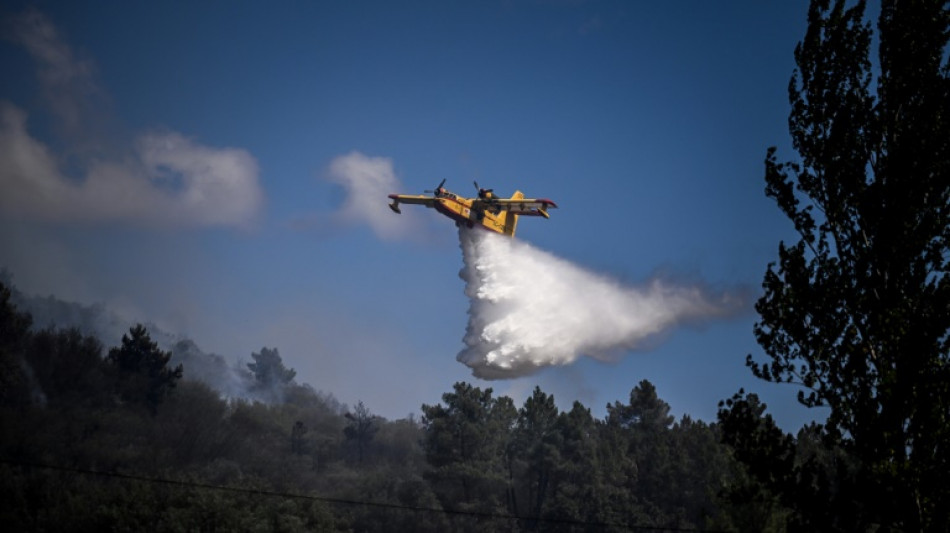 Portugal: plus de 100.000 hectares brûlés par les feux de forêt cette année