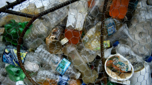 Plastic recycling remains a 'myth': Greenpeace study