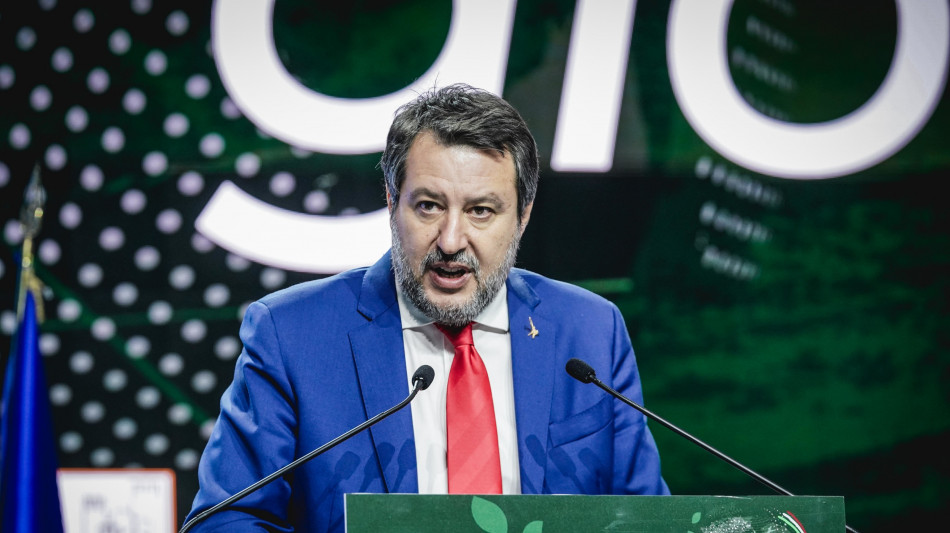 Salvini, 'spediti sull'autonomia, non vedo nessun problema'