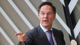 Rutte, 'Meloni non è esclusa, Roma sia ben rappresentata'