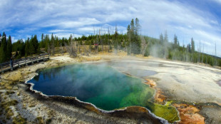 Encuentran restos humanos en aguas termales del parque de Yellowstone de EEUU