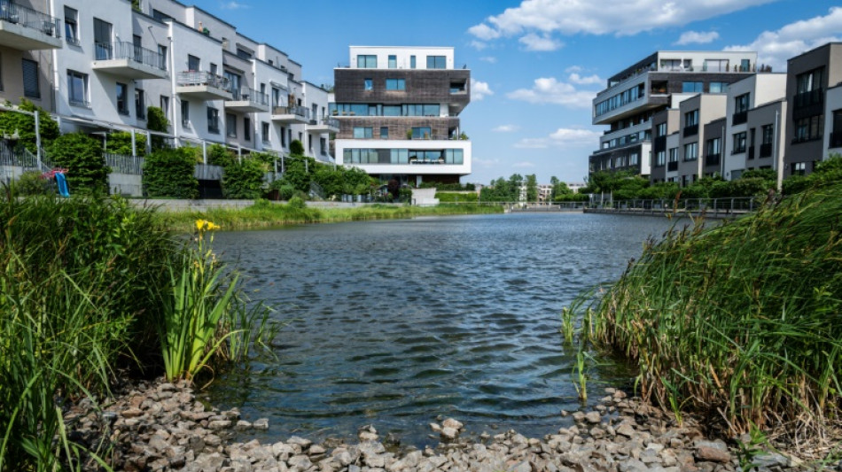 From swamp to sponge: Berlin harnesses rain in climate shift