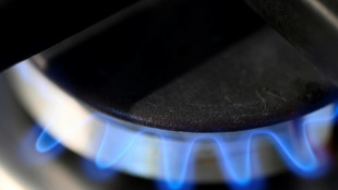 Bericht: Bund prüft umfangreiche Maßnahmen zur Senkung des Gasverbrauchs  