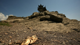 La canicule en Chine, "grave menace" pour les récoltes (autorités)