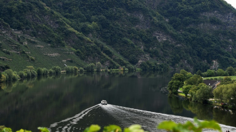 Nach Unfall: Ersatztor an Moselschleuse soll zwei Monate früher eingebaut werden