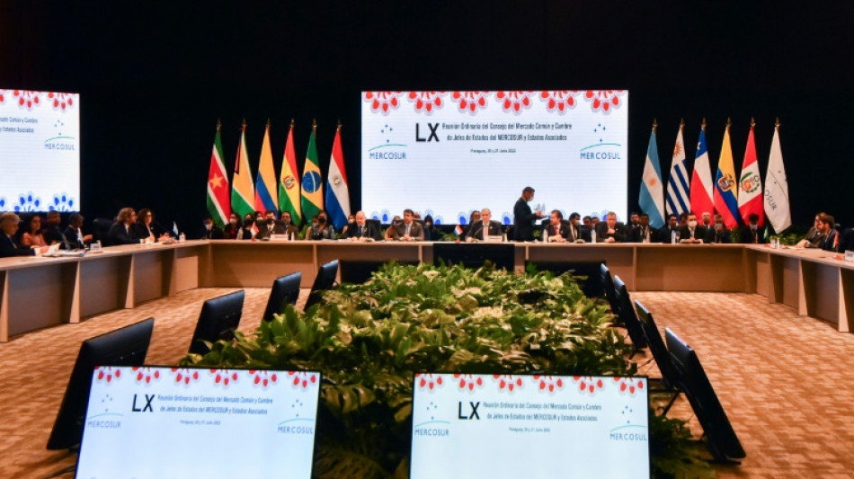 Mercosur trade bloc denies Zelensky request to address summit