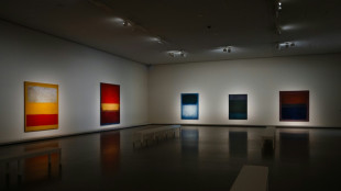 'Great vibrations' of Mark Rothko at blockbuster Paris show