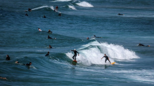 Surfboards with bright lights could deter shark attacks - researchers