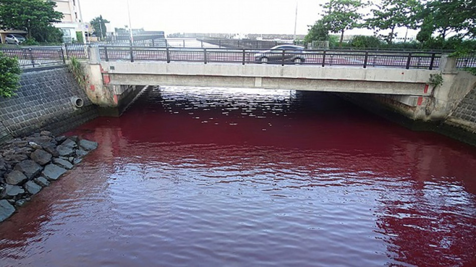 Beer factory leak turns Japanese port red