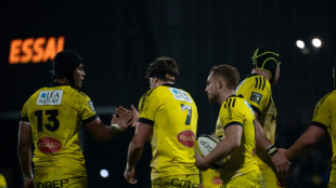 Champions Cup: Toulouse à l'épreuve des Sharks, La Rochelle retrouve le Leinster