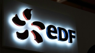 EDF suspend sa cotation en Bourse avant l'annonce des modalités de sa renationalisation 