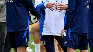 Euro 2024: ecco maglie azzurre, 10 a Pellegrini 9 a Scamacca