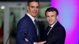 Macron, Sanchez to ink Franco-Spanish friendship treaty