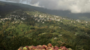 'Zero income' after storms ravage famed Greek apple harvest