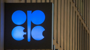 Waning influence of OPEC+ in spotlight as prices flag