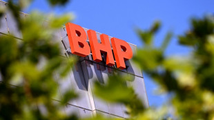 La minera Anglo American se dispara en bolsa tras una oferta de compra por parte de BHP