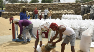 L'Inde interdit les exportations de blé, le G7 s'alarme d'une aggravation de la crise