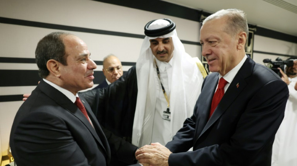 Erdogan, Sisi meet in Qatar for the first time