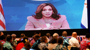 US VP Harris launches Pacific push with new embassies, envoy