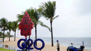 G20 ministers to meet in Bali with Ukraine top of agenda