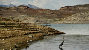 Aux Etats-Unis, les négociations autour du partage du fleuve Colorado s'enlisent