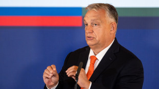 Il premier ungherese Orban domani in Georgia