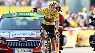 Tour de France: Vingegaard domine la dernière étape de montagne