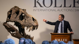 Trinity the T-rex claws in more than $6 million