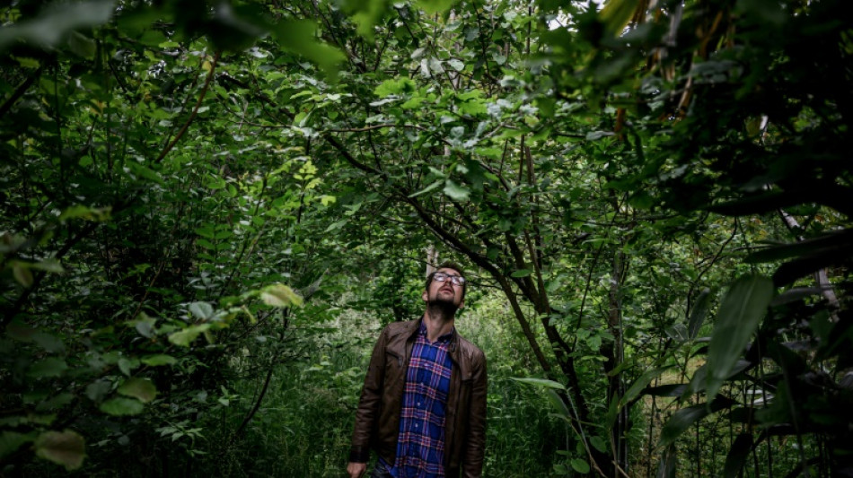 Dans l'Est de la France, une forêt à manger pour sauver la planète