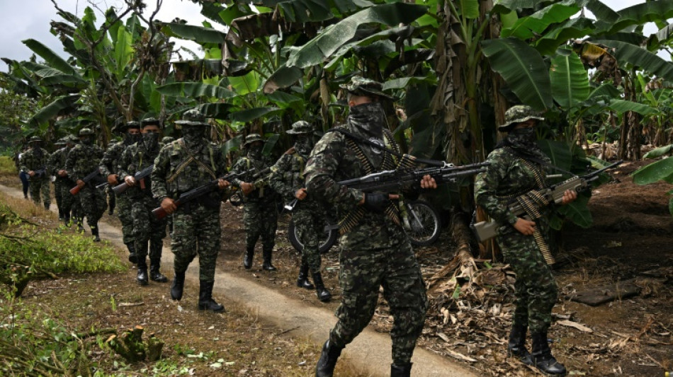 Colombia rebel group imposes control in restive coca zone