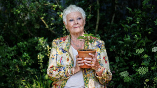 Judi Dench verso il ritiro, 'non riesco più a vedere'