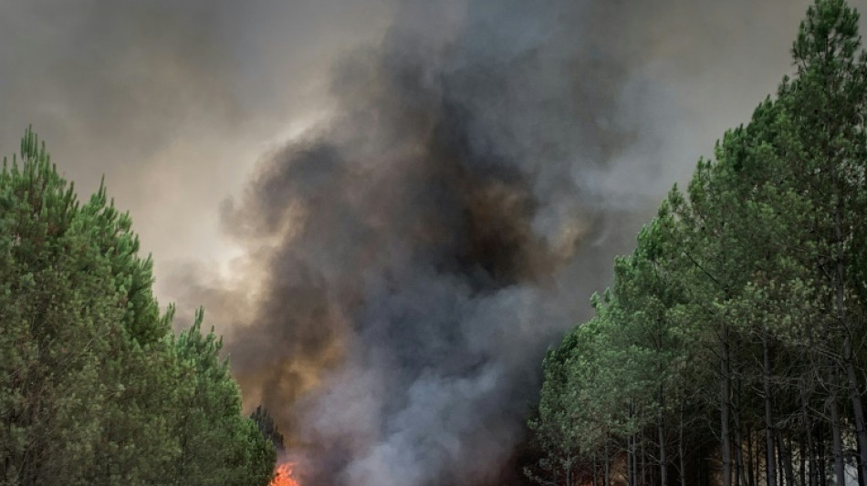 El calor y la sequía reavivan incendios forestales en el sudoeste de Francia