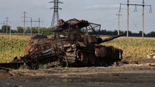 Russian advance in Kursk 'stopped': Ukraine official to AFP