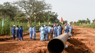 Africa's longest oil pipeline takes shape in Niger 