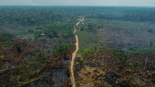 Amazon deforestation rises for the first time in 15 months