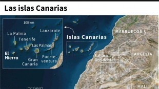 Cuatro muertos, 29 desaparecidos y un superviviente en un barco cerca de Canarias, según rescatistas y una ONG