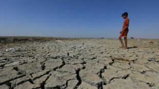 World warming at record 0.2C per decade, scientists warn